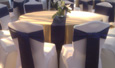 Chair Covers, Sashes, Tie Backs, Cord Tassels, Napkins, Accessories, Velvet Table Cloths