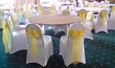 Chair Covers, Sashes, Tie Backs, Cord Tassels, Napkins, Accessories, Velvet Table Cloths