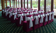 Chair Covers, Sashes, Tie Backs, Cord Tassels, Napkins, Accessories, Velvet Table Cloths