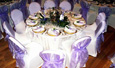 Chair Covers, Sashes, Tie Backs, Cord Tassels, Napkins, Accessories, Velvet Table Cloths