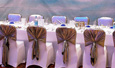 Chair Covers, Sashes, Tie Backs, Cord Tassels, Napkins, Accessories, Velvet Table Cloths