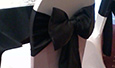 Chair Covers, Sashes, Tie Backs, Cord Tassels, Napkins, Accessories, Velvet Table Cloths