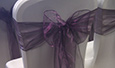 Chair Covers, Sashes, Tie Backs, Cord Tassels, Napkins, Accessories, Velvet Table Cloths