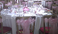 Chair Covers, Sashes, Tie Backs, Cord Tassels, Napkins, Accessories, Velvet Table Cloths